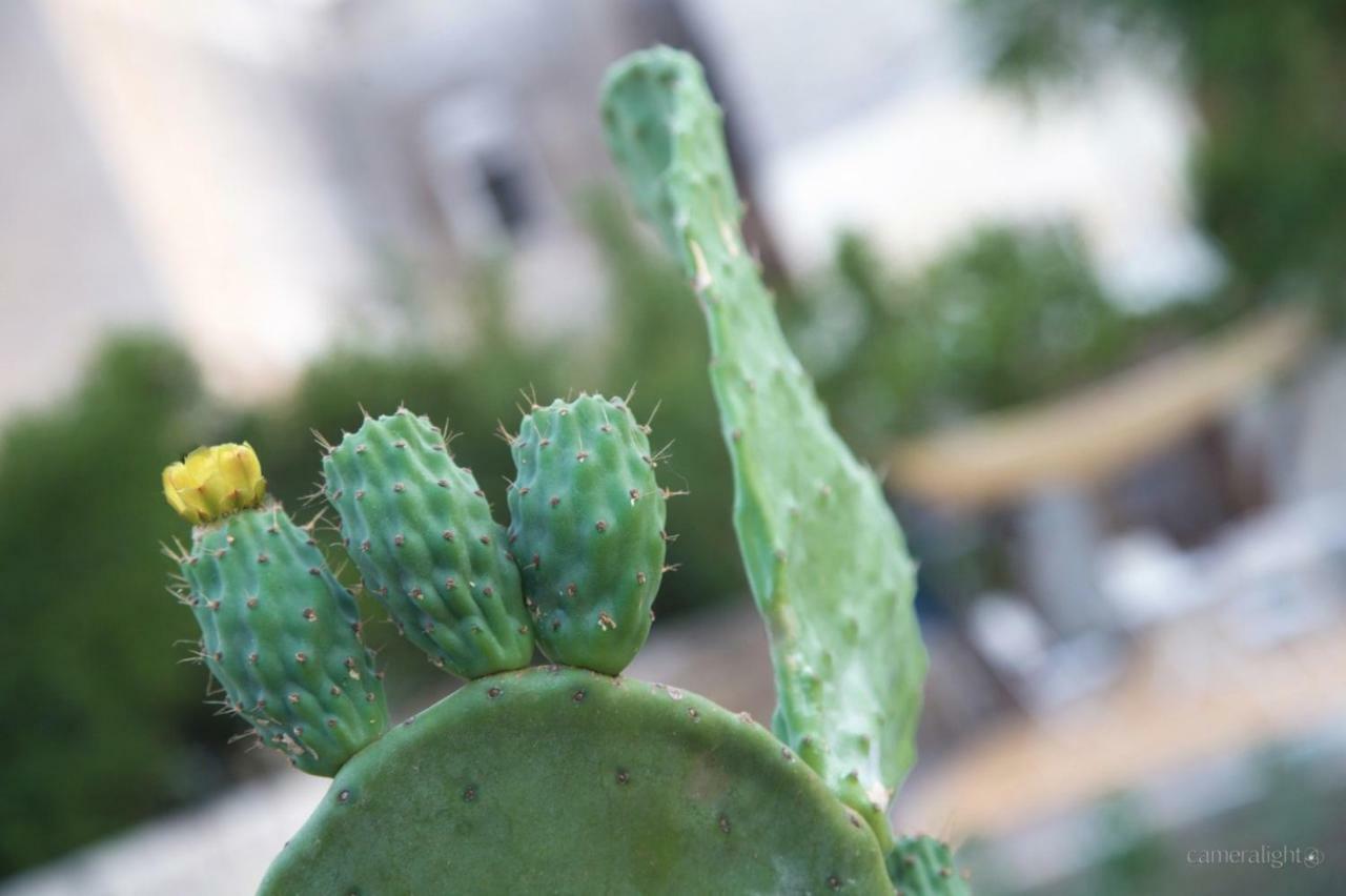 Il Giardino Delle Margherite Lecce Buitenkant foto