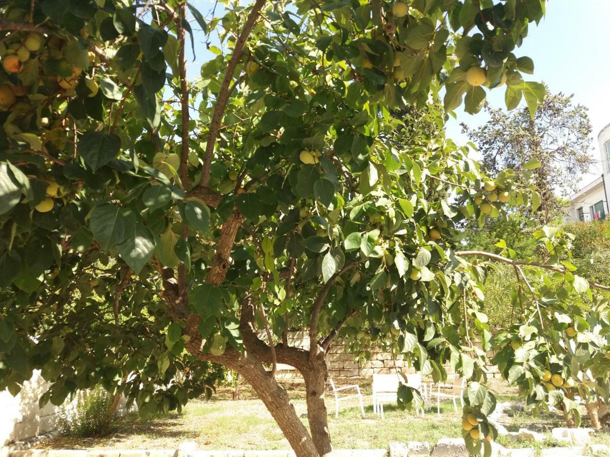 Il Giardino Delle Margherite Lecce Buitenkant foto