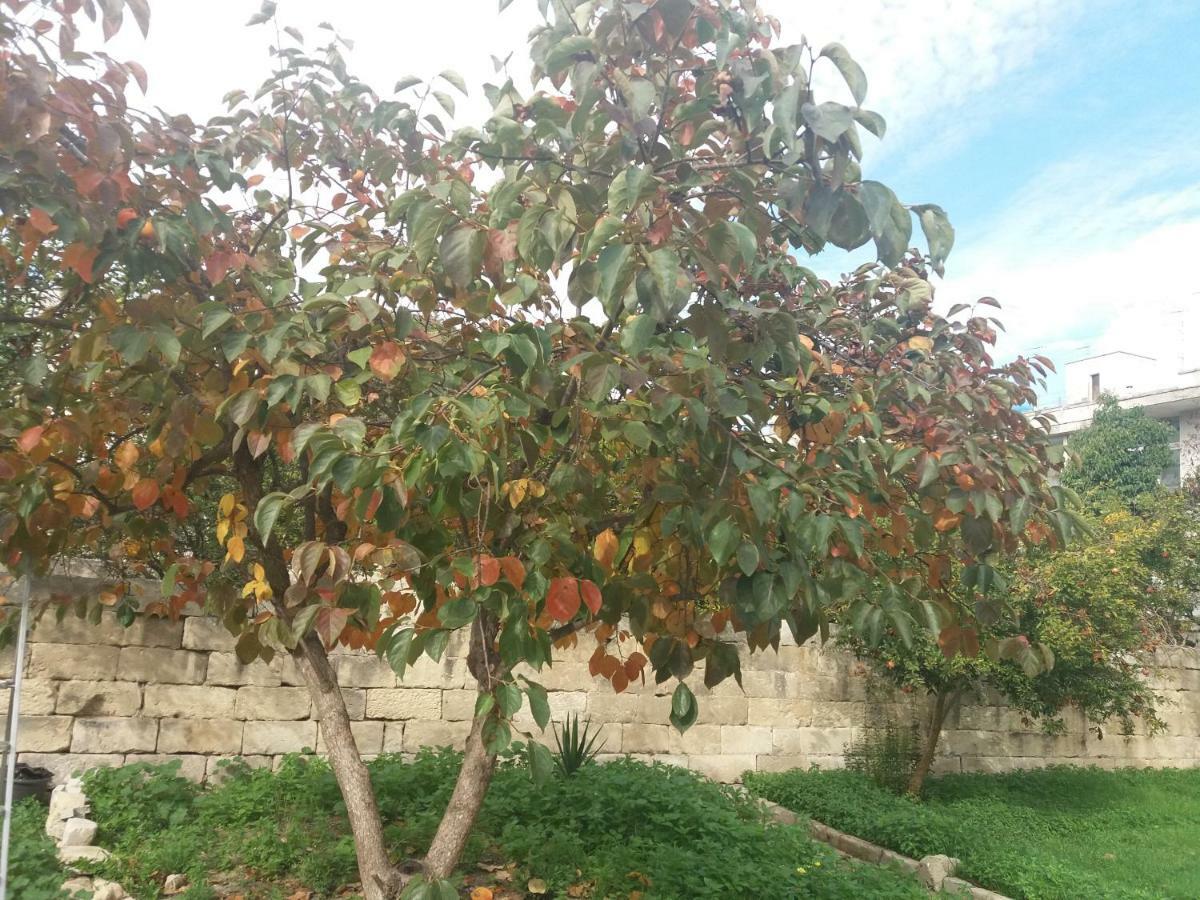 Il Giardino Delle Margherite Lecce Buitenkant foto