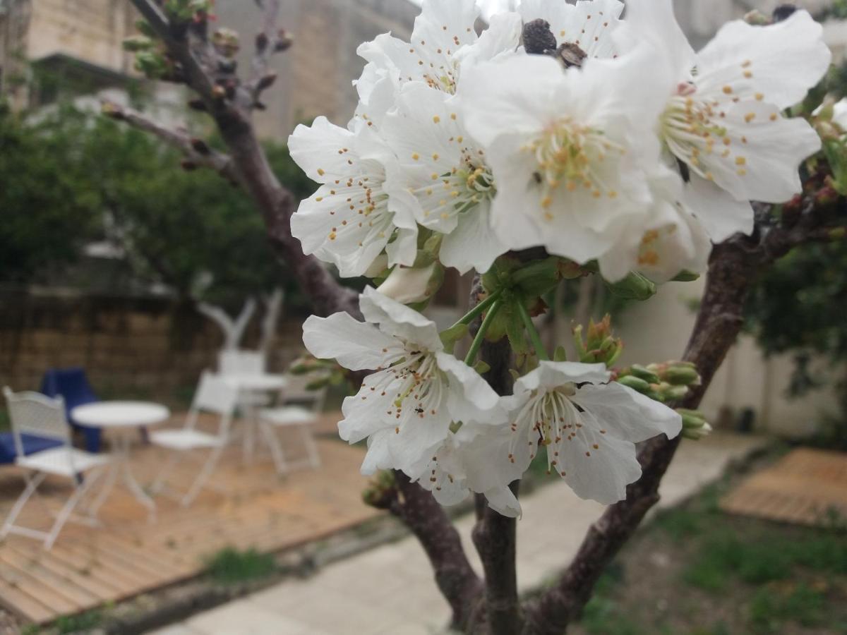 Il Giardino Delle Margherite Lecce Buitenkant foto